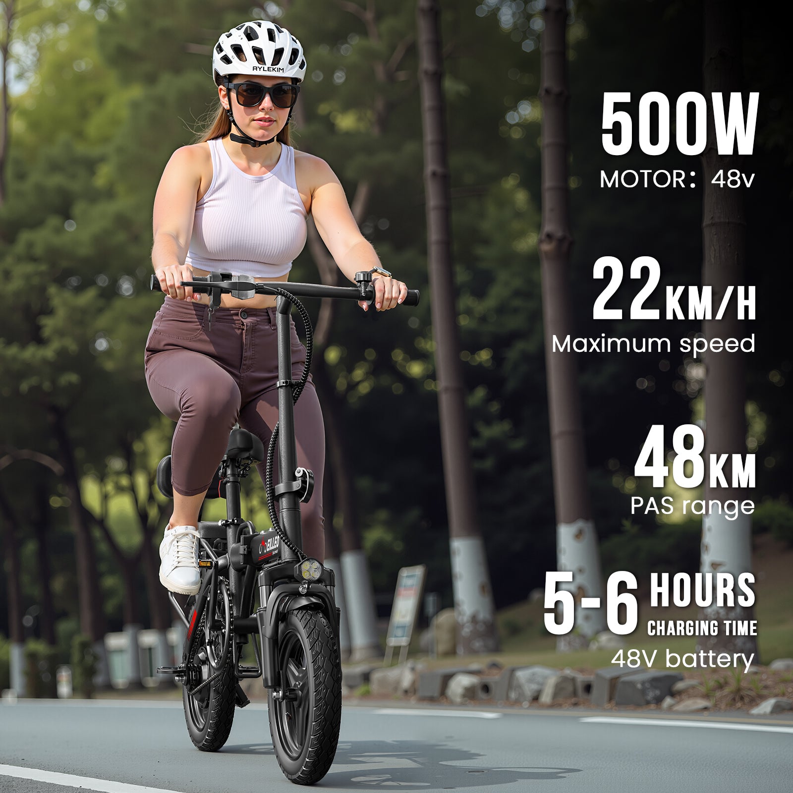 Eilleo Spacewalk H5 Pro Folding Electric Bike
