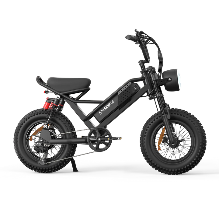Eilleo SpaceWalk M6/7 Electric Bike