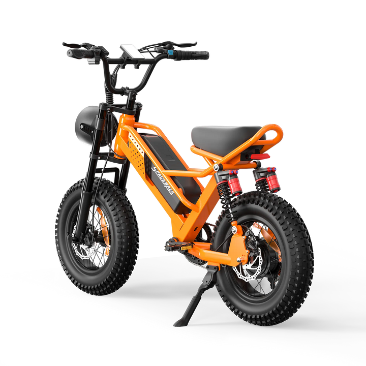 Eilleo SpaceWalk M6 Electric Bike for Teens
