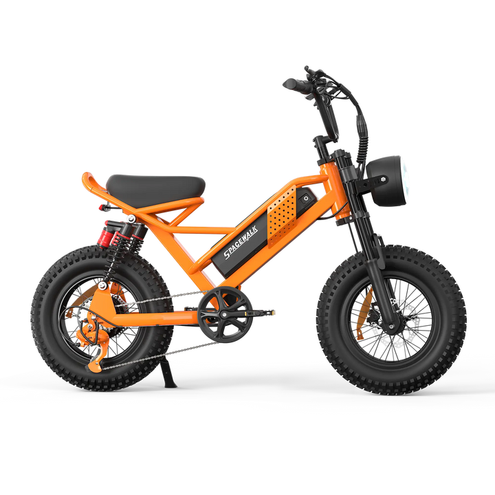 Eilleo SpaceWalk M6 Electric Bike for Teens