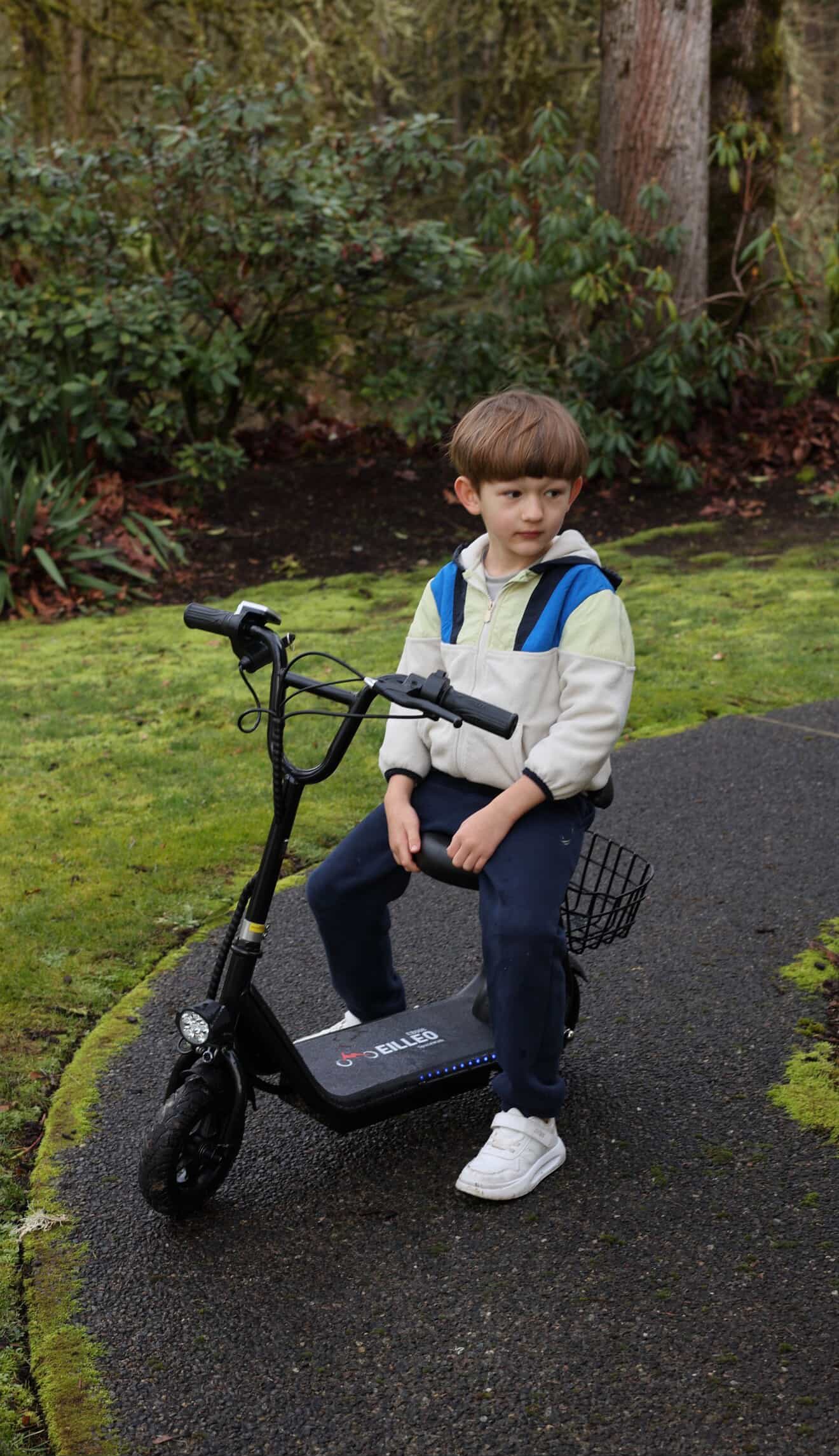 Electric Scooter