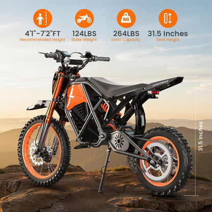 Eilleo SpaceWalk X01 Electric Dirt Bike