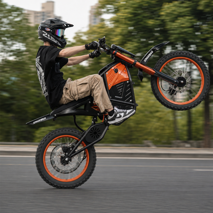 Eilleo SpaceWalk X01 Electric Dirt Bike
