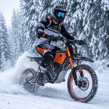 Eilleo SpaceWalk X01 Electric Dirt Bike