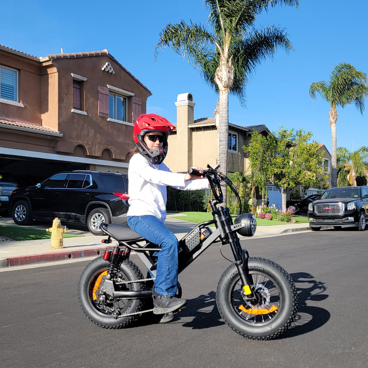 Eilleo SpaceWalk M6 Electric Bike ‎for Teens