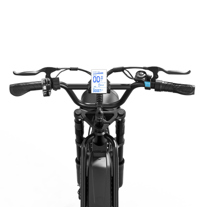 Eilleo SpaceWalk M6 Electric Bike ‎for Teens