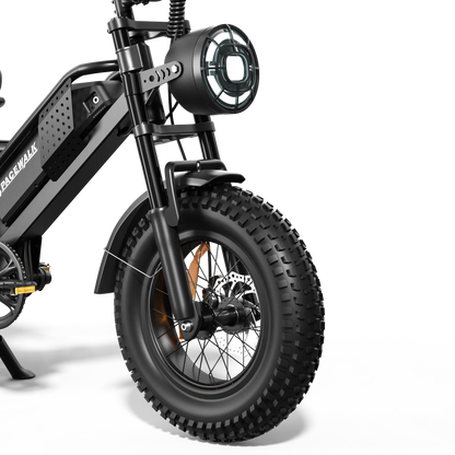 Eilleo SpaceWalk M6 Electric Bike ‎for Teens
