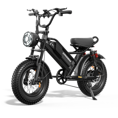 lashout electric bicycle FLASH LITE ST 1.0 Front and Rear 180mm Front and Rear 180mm PEDALS Scootr Scooters - The Lashout