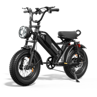 Eilleo SpaceWalk M6 Electric Bike ‎for Teens