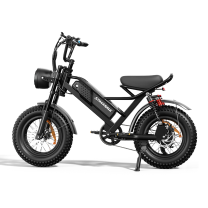 Eilleo SpaceWalk M6 Electric Bike ‎for Teens