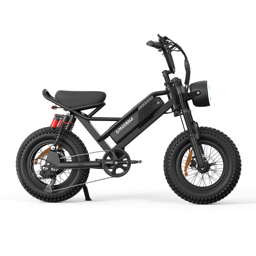 Eilleo SpaceWalk M6/7 Electric Bike