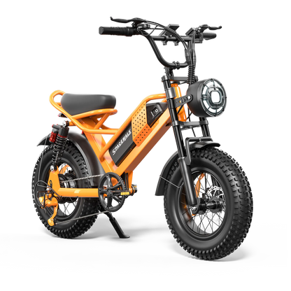 Eilleo SpaceWalk M6 Electric Bike ‎for Teens
