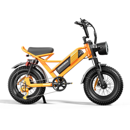 Eilleo SpaceWalk M6 Electric Bike ‎for Teens