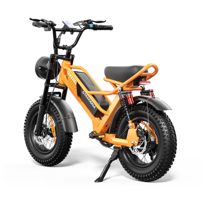 Eilleo SpaceWalk M6 Electric Bike ‎for Teens