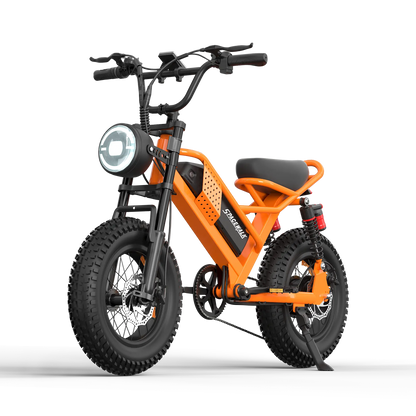 Eilleo SpaceWalk M6 Electric Bike ‎for Teens