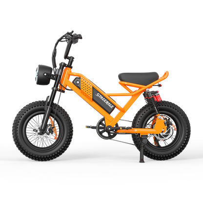 Eilleo SpaceWalk M6 Electric Bike ‎for Teens