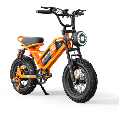 Eilleo SpaceWalk M6 Electric Bike ‎for Teens