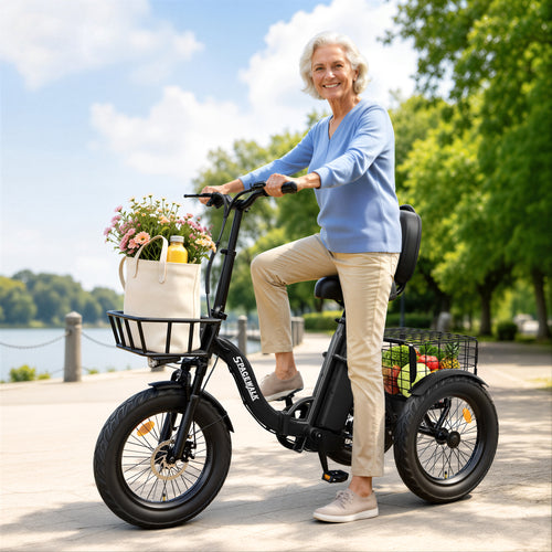 Eilleo Flow Breeze electric bike.