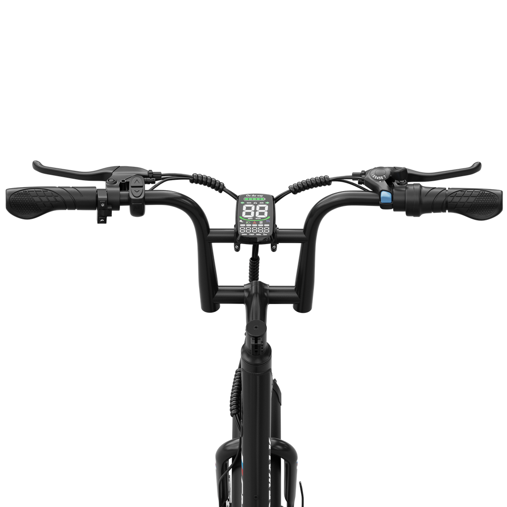 Eilleo Flow Flex electric bike.