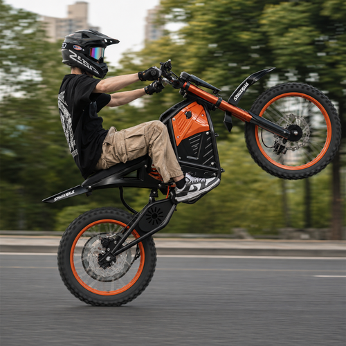 Eilleo Wilder Apex X1 electric dirt bike.